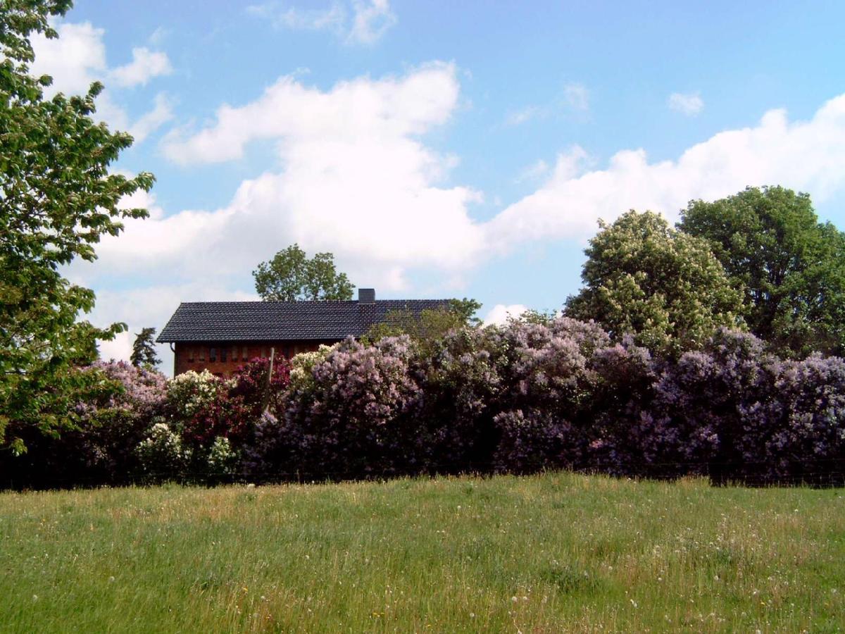 Hof Georgenhoehe Lychen Exterior photo